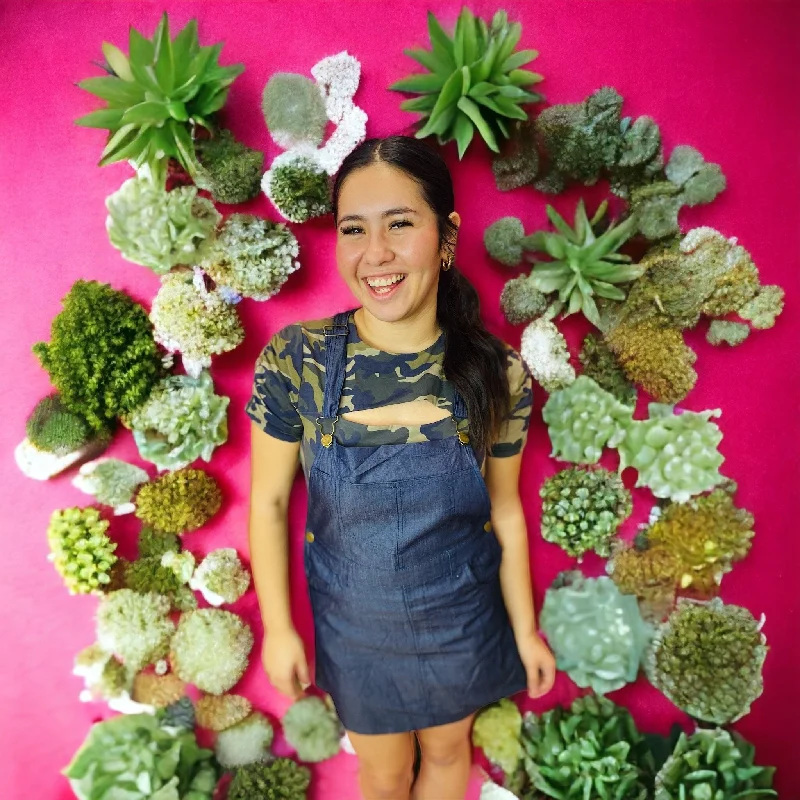 Farmer's Market Denim Overall Dress